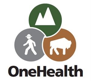 &quot;Drug Addiction Programs Utah
